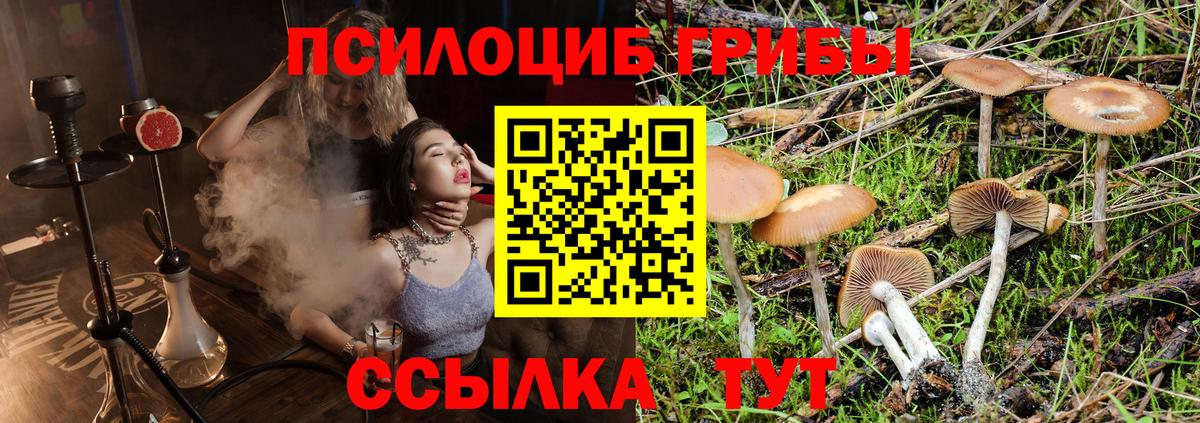 Канаш  Псилоцибиновые грибы Cubensis  Псилоцибиновые грибы Magic Shrooms  Вход с VPN 