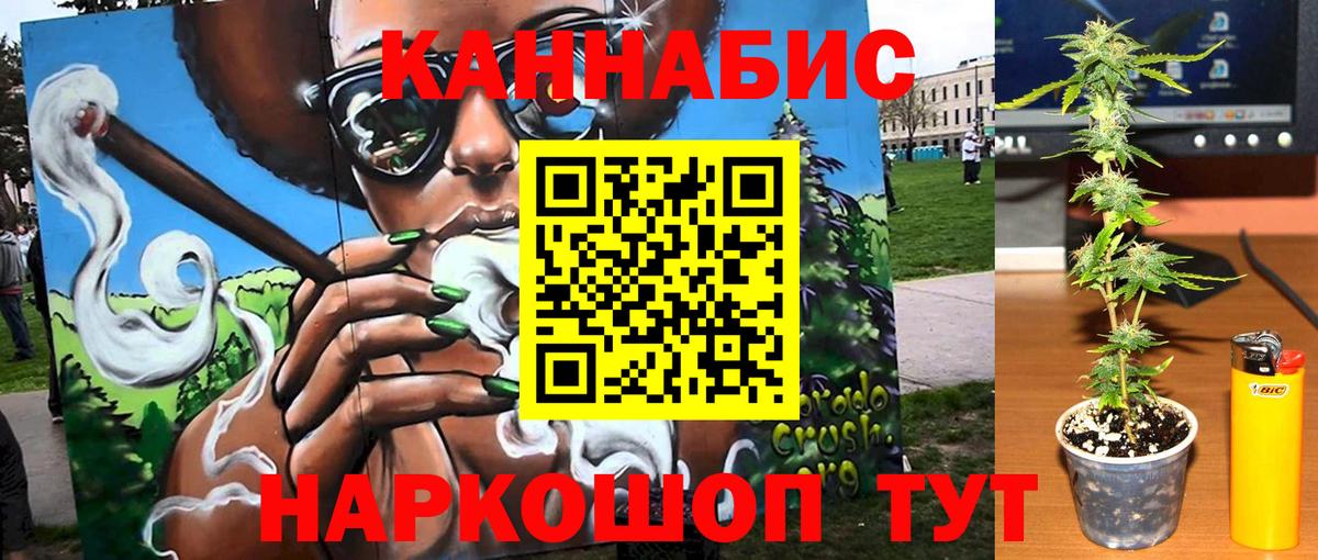 Канаш  Бошки Шишки планчик  Вход с VPN  Бошки марихуана план 